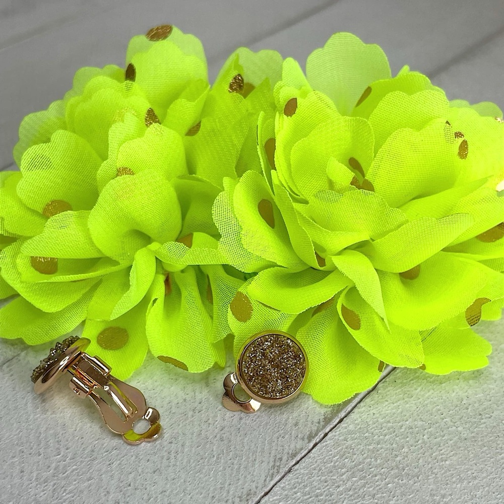 Bodacious Set—NWT—Hand Crafted Clip-On Earrings & Hair Clips Set